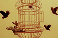 Madárkalitka kék madarakkal 